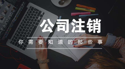 專業(yè)的吊銷轉注銷怎樣收費,注銷一人公司沒有資料了怎么辦