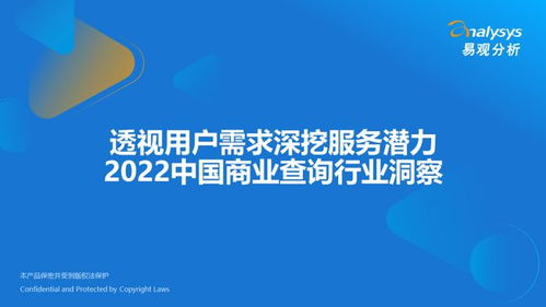 透視用戶需求深挖服務(wù)潛力 2022中國(guó)商業(yè)查詢行業(yè)洞察