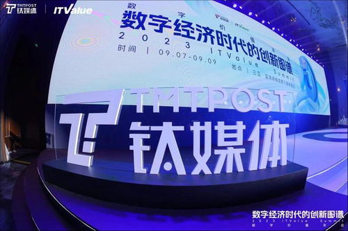 輕松集團(tuán)馬孝武 商業(yè)健康險(xiǎn)迎來(lái)窗口期,創(chuàng)新才能讓產(chǎn)品脫穎而出 2023 itvalue summit數(shù)字價(jià)值年會(huì)